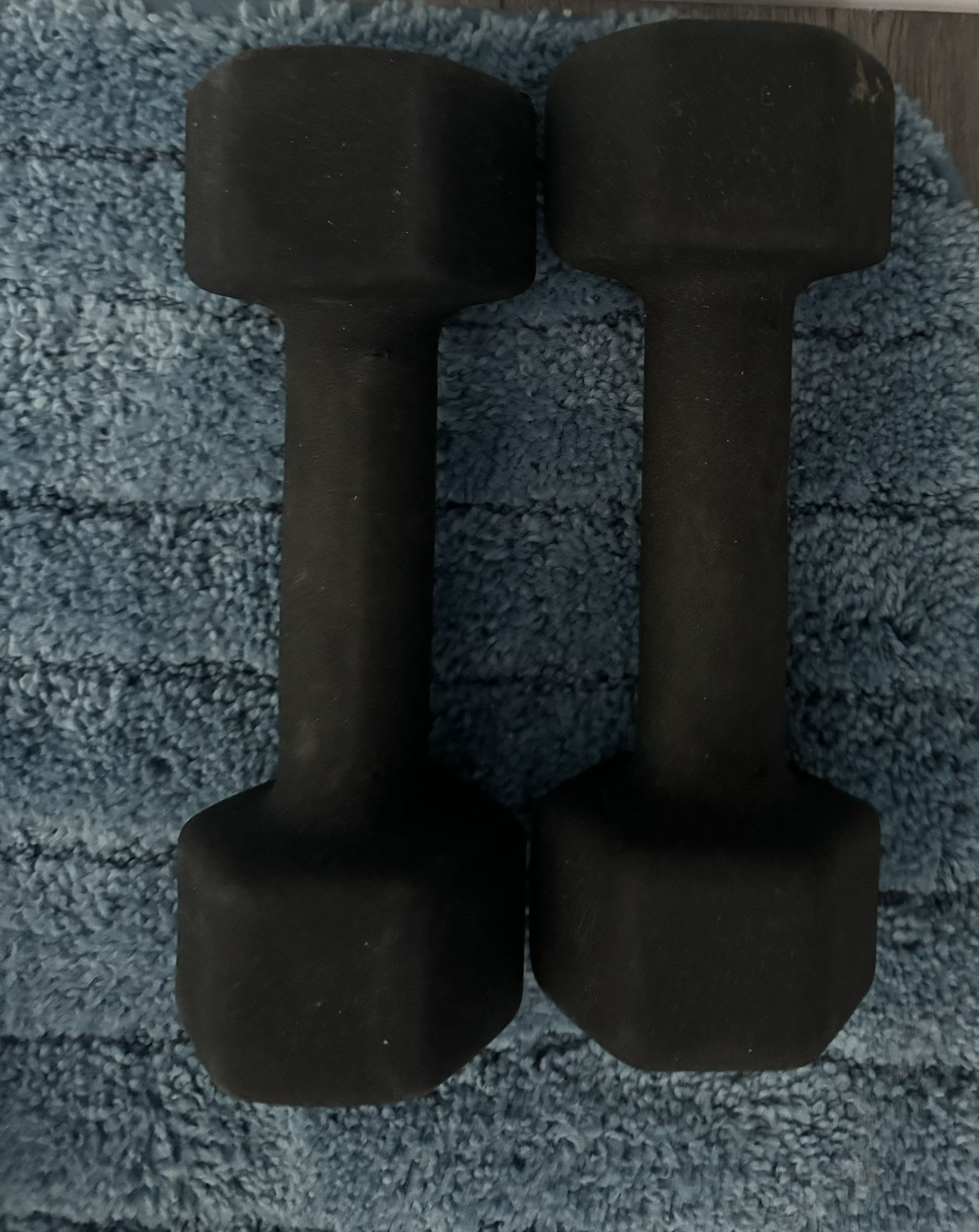 10 Lb Weights