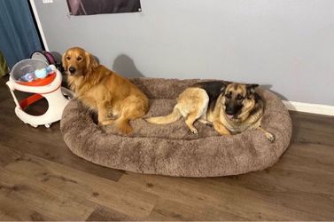 Dog bed. Human Dog Bed, Large Dog Beds for Humans Size Fits You and Pets