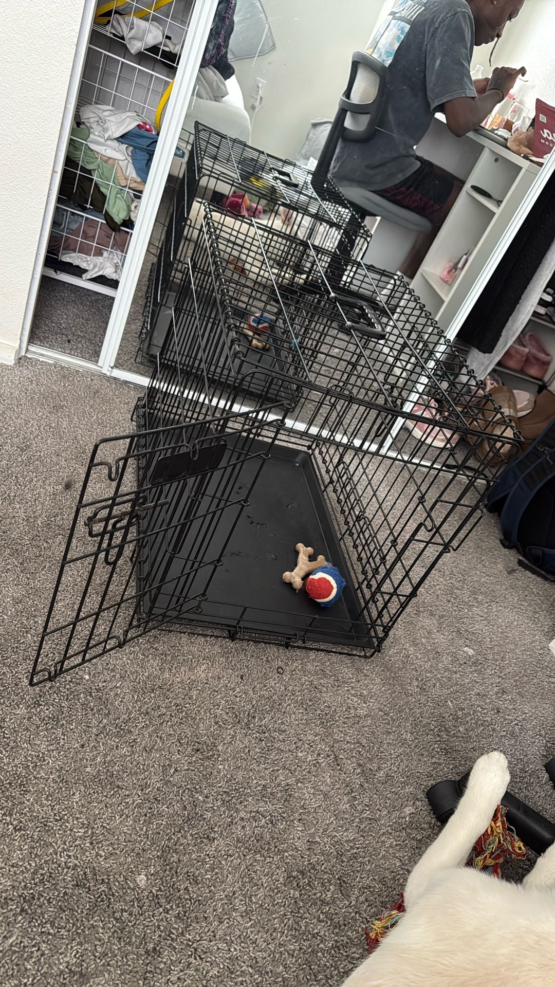 Small Dog Crate