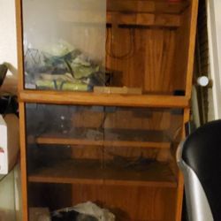 Lighted Shelving