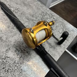 Penn International V 30VSW