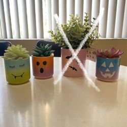 Halloween Pastel Plants/succulents And
