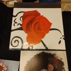Afro Canvas Pictures 