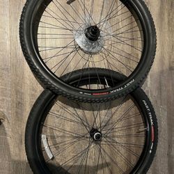 Specialize 29 Inch Rims Both For 250 $ 