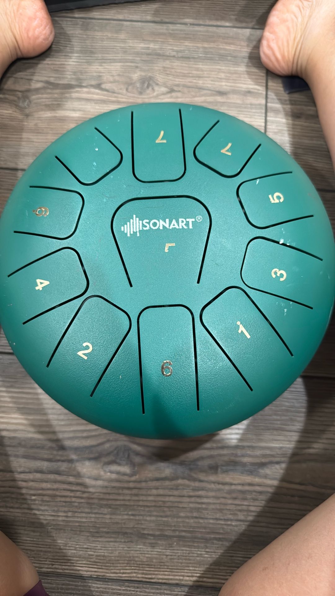 Steel Tongue Drum