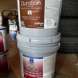 Paint For Sale 