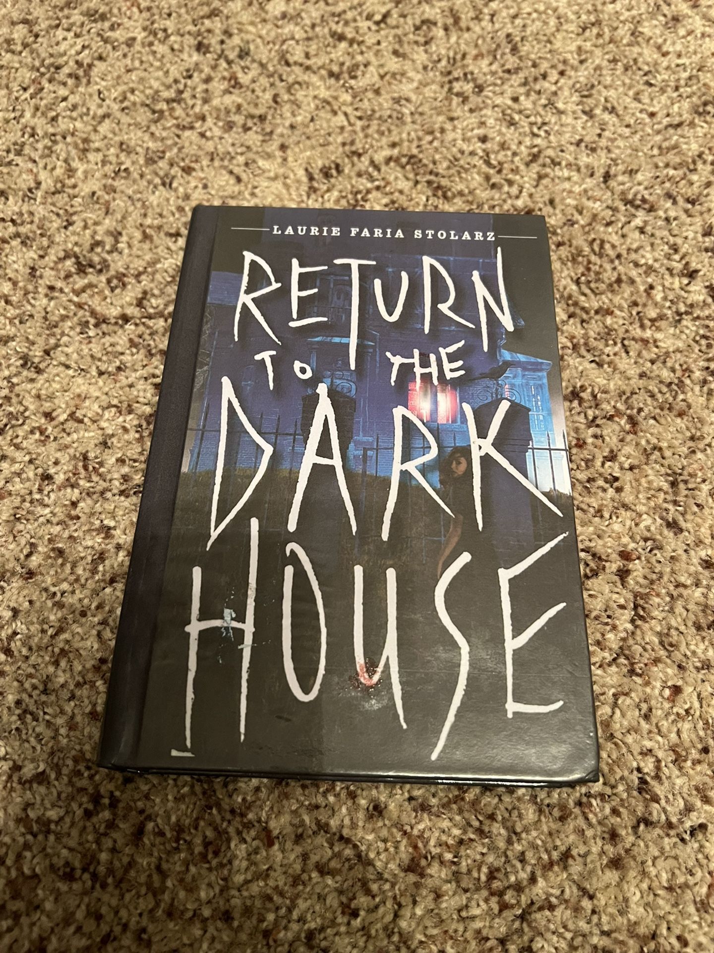 Return to the Dark book hard cover book