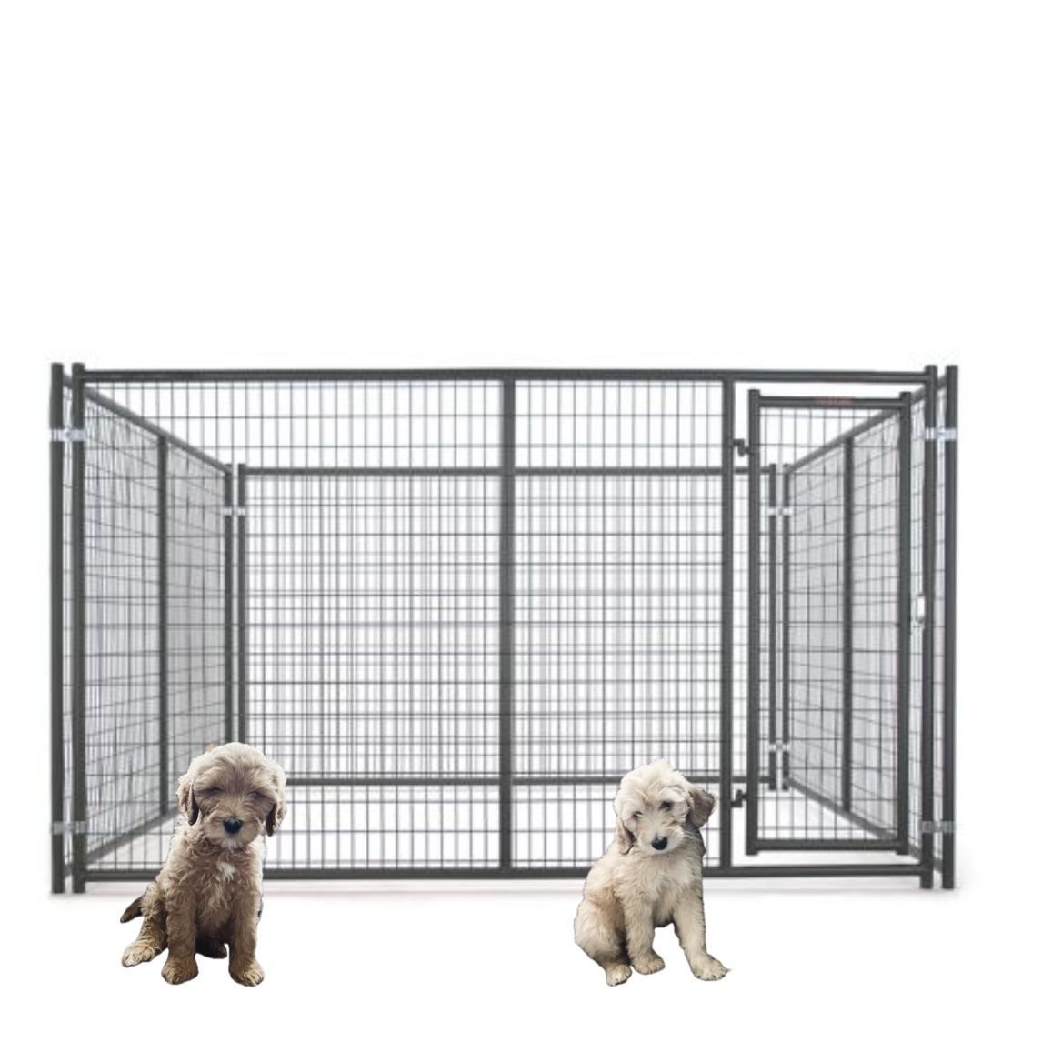 Kennel For A Goldendoodle