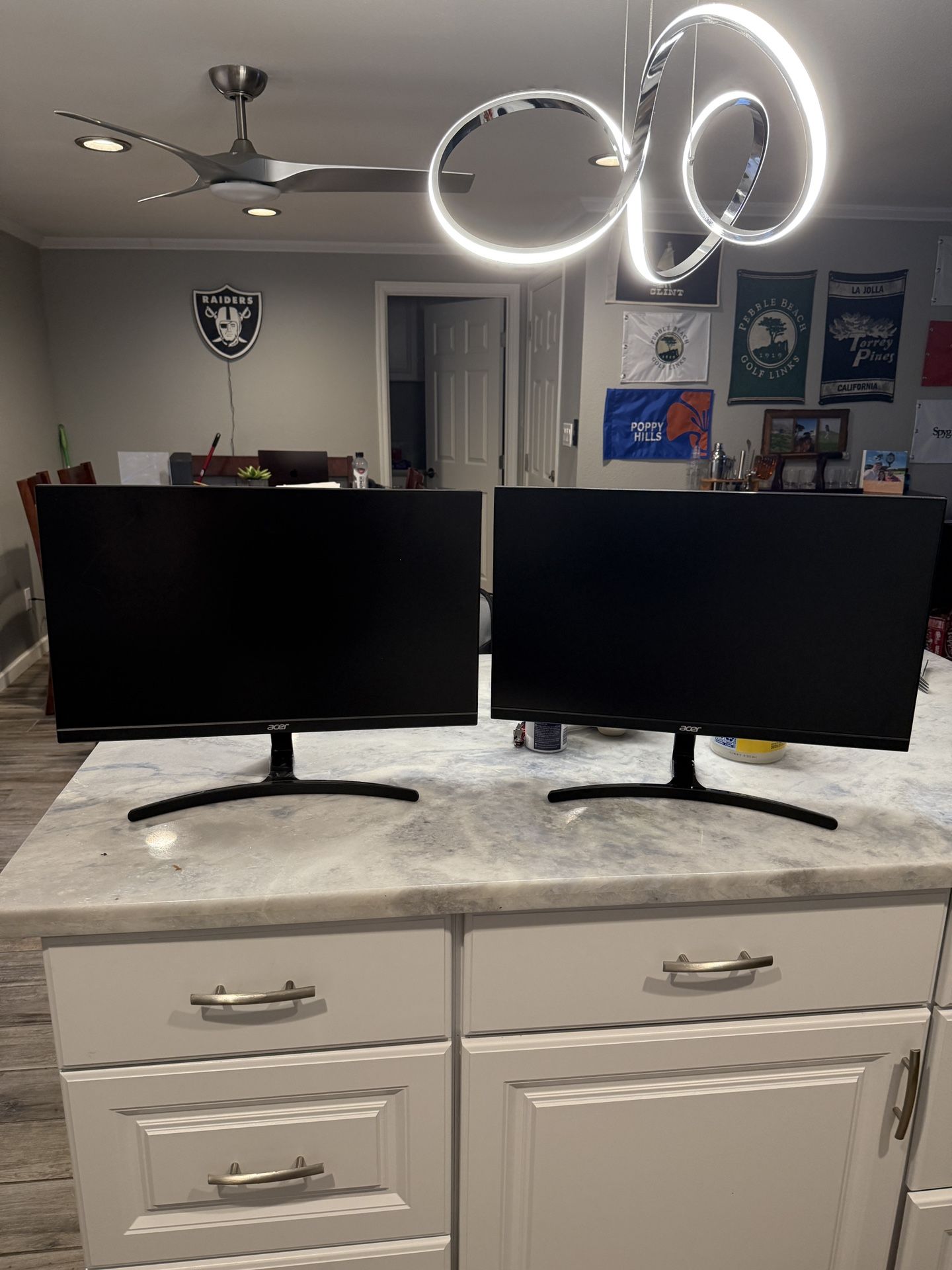 Acer 24” Monitor 100hz