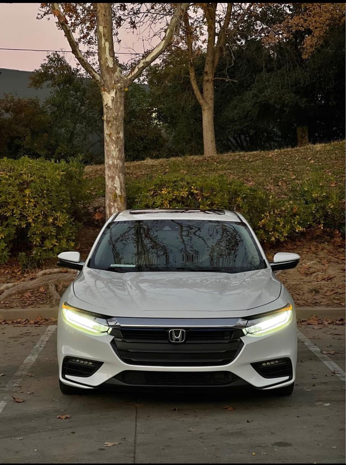 2020 Honda Insight