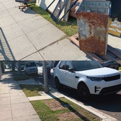 De Todo Tipo Se Recoje