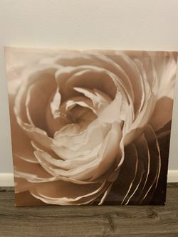 Framed Rose Photo
