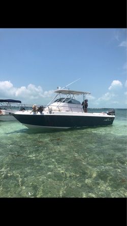 1993 Proline 260 Walkaroumd