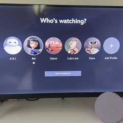 24 Inch Vizio Tv