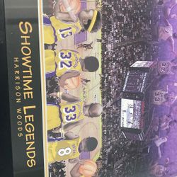 9 x 11 Lakers, basketball picture framed