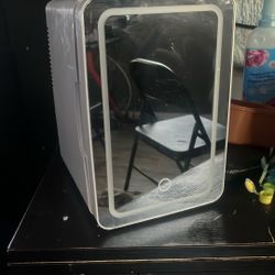 Mini Fridge With LED Mirror Hot And Cold
