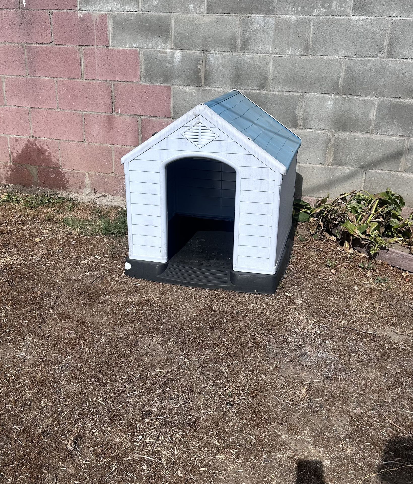 Dog House 🏠