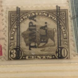 1923 Buffalo 30 Cent Postage 
