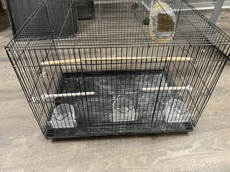 Birds cage
