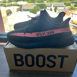 Yeezy 350