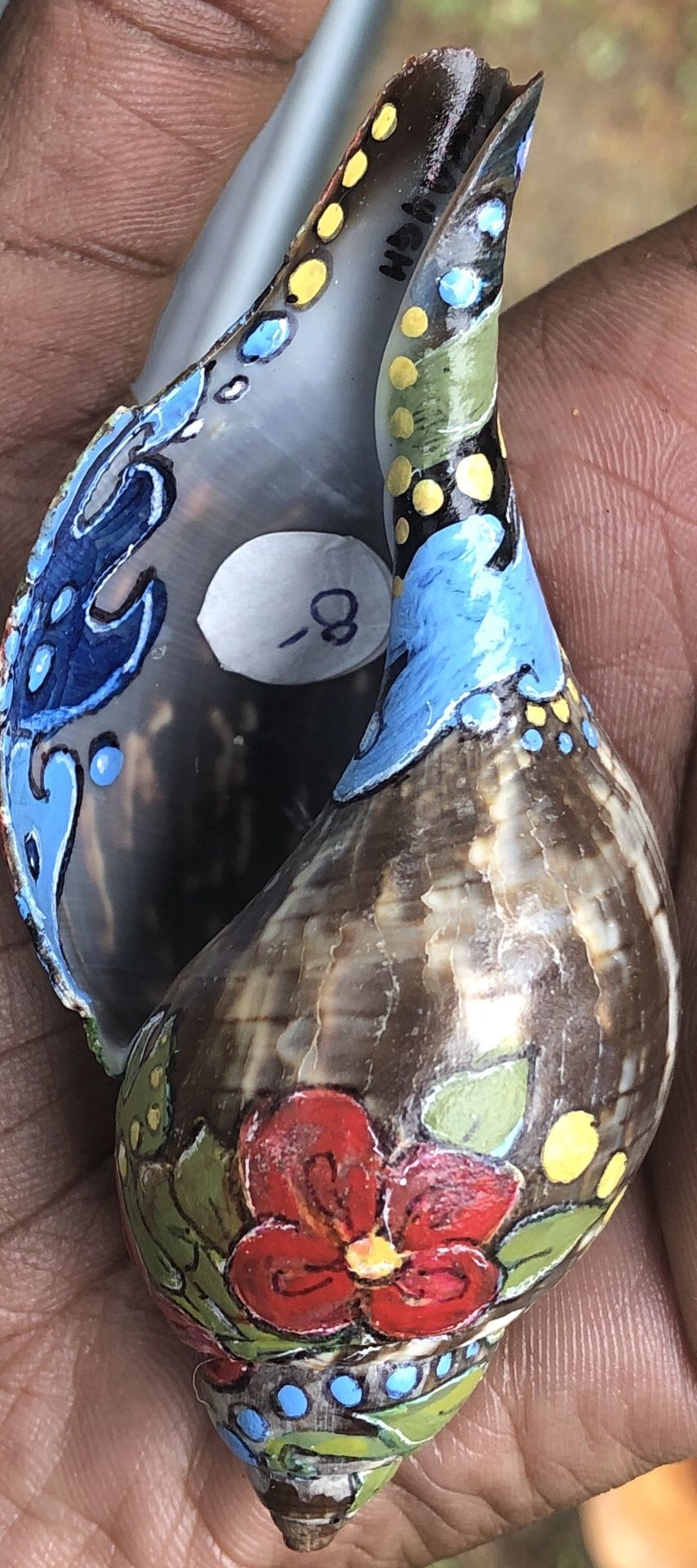 Hand painted seashell