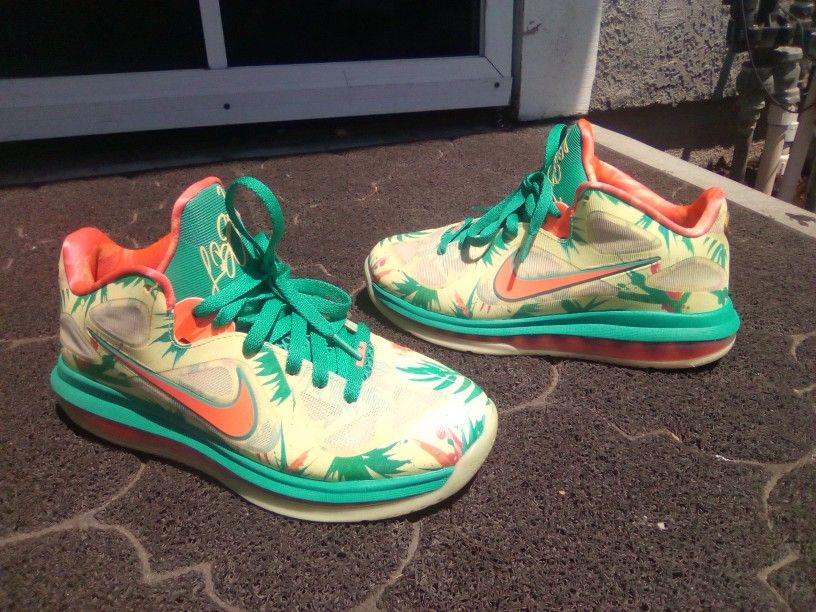 Nike LeBron 9 Lowtop "Lebronald Palmer"