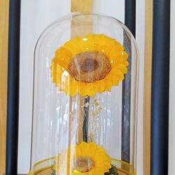 "Preserved sunflowers"