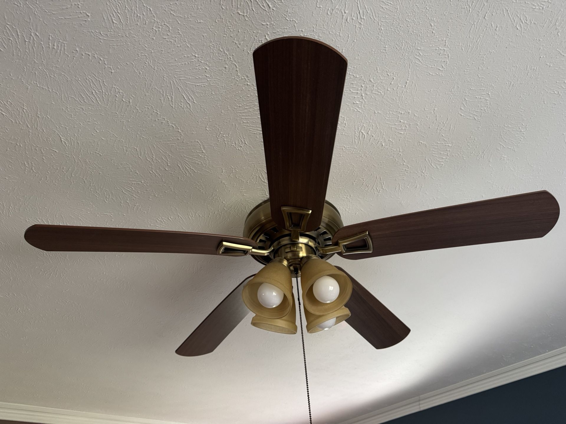 Hampton Bay Light/Fan Antique Gold/Wooden Finish