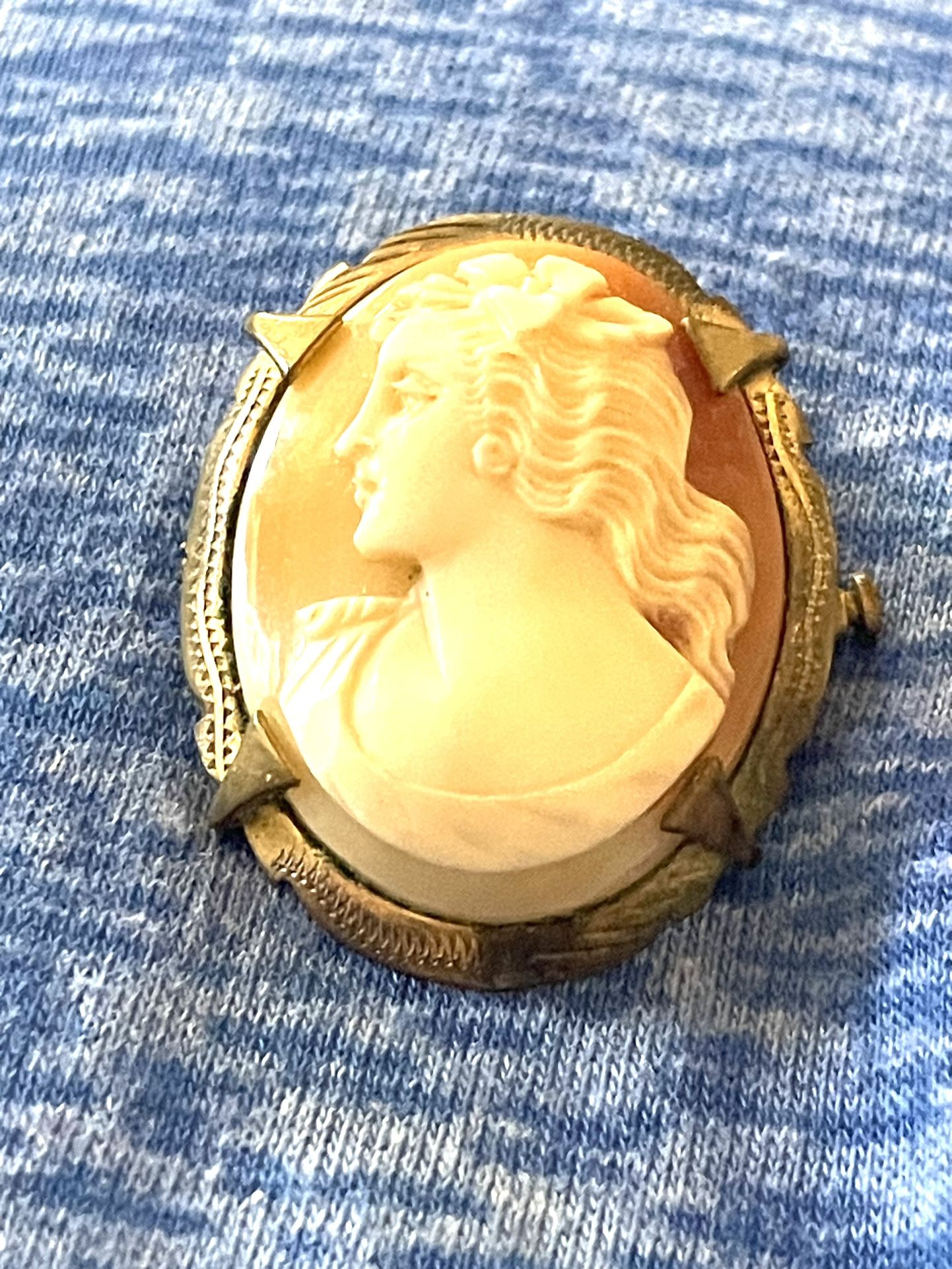 Antique Shell Left Facing Cameo