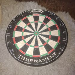 New Dart Board  