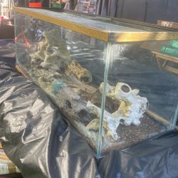 Reptile Tank/fish Tank