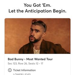 Bad Bunny Tickets Miami