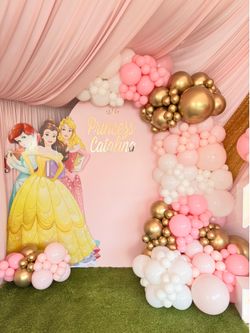 Princess theme birthday party