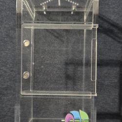 Enclosure For Jumping Spider, Insects