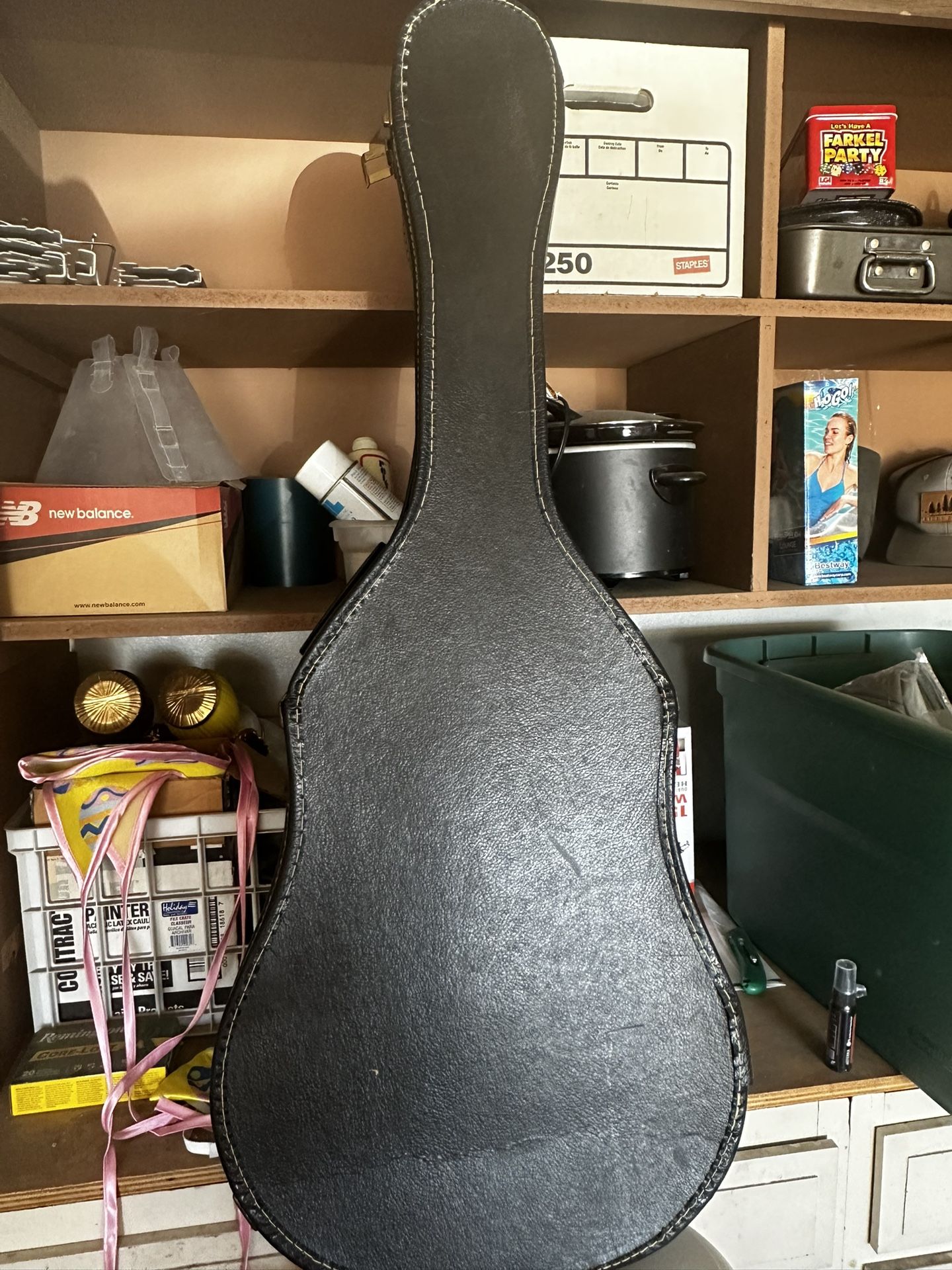 Guitar case