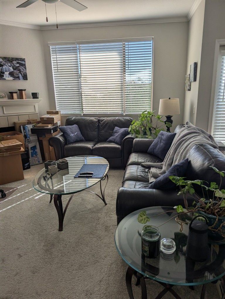 Moca Leather Couch & Love Seat