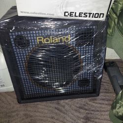 Roland keyboard AMP 350 Lynnwood  Area