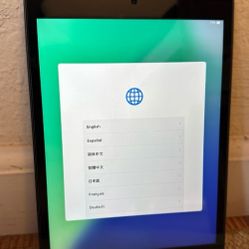 iPad Mini A2133 256GB - 5th Generation