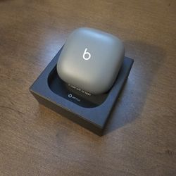 Beats Fit Pro Earbuds 