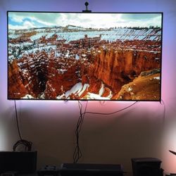55” LG B8 OLED 4K TV W/ Govee lights