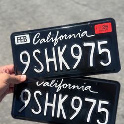 License Plate Wrap