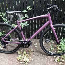 Specialized Sirius X Bicycle 
