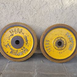 35 Pound Bumper Plates 