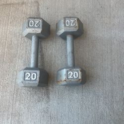 20 Lbs Dumbbells