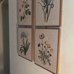 New , Set of 4 beautiful Floral Pictures.  Beige Backgrounds on each.  Redecorating.