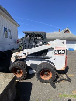 Bobcat