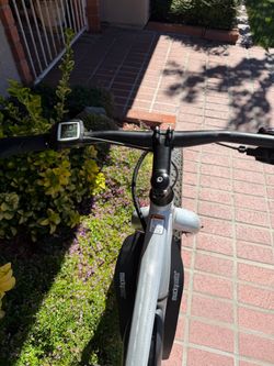 Raleigh Magnus iE MTB