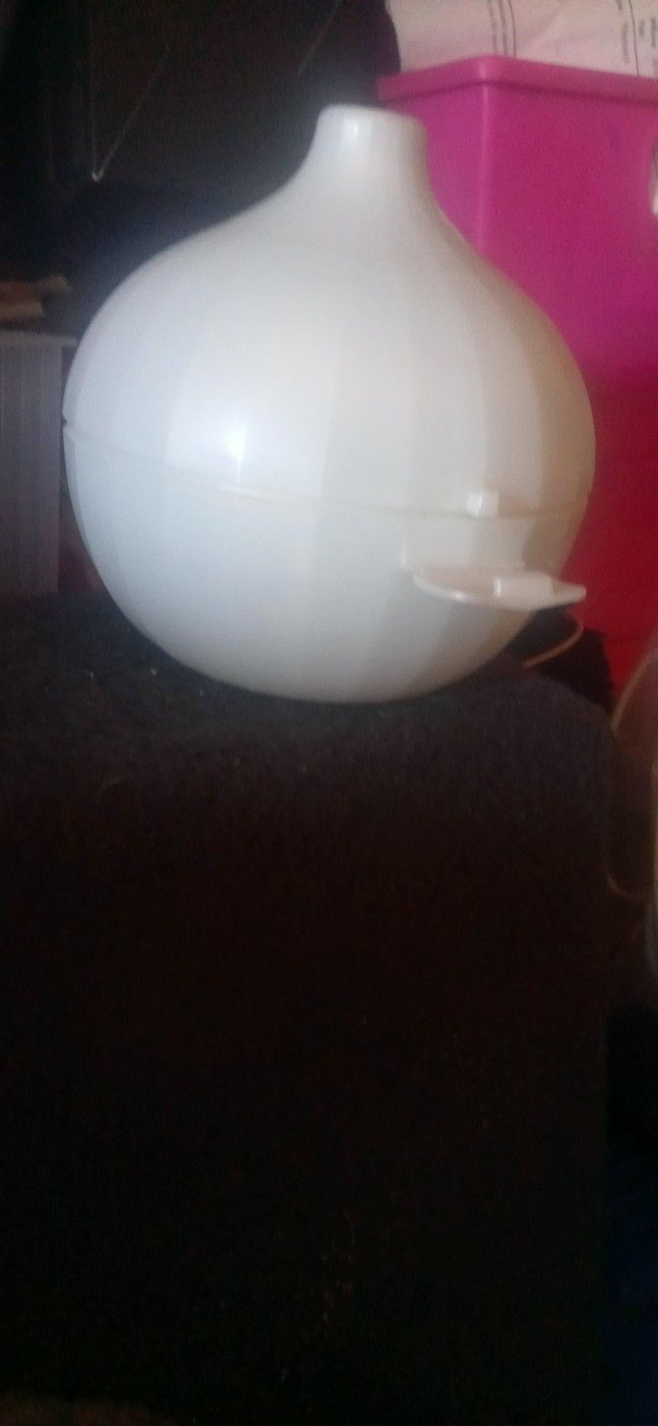 Onion Container Storage For Fridge
