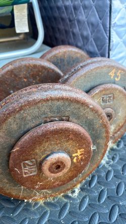 45 Pound Dumbbells