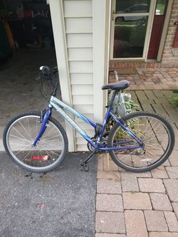 17 inch online women's bike